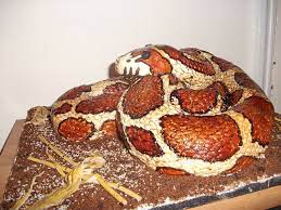 Eric Snake Cake Different Angle Snake Cakes Amazing Cakes Halloween Food For Party