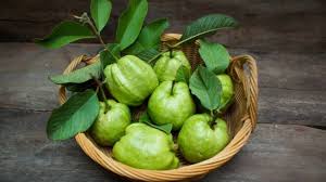 Pemeliharaan tanaman jambu kristal penyiangan dilakukan dengan cara membuang tunas yang ada pada batang utama, tujuannya agar buah dapat tumbuh maksimal dengan ukuran besar dan rasanya manis. Mulai Dari Air Beras Hingga Ketumbar Simak 4 Bahan Alami Atasi Keputihan