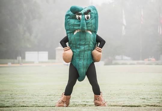 Little known facts about delta state university in cleveland, mississippi &mdash; Visit Cleveland, Mississippi's Best Delta Town