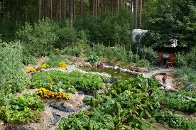 Finden sie die besten designer gartenmöbel bei sklum. Alphabeet Magazin Permakultur Gartnern Im Einklang Mit Der Natur