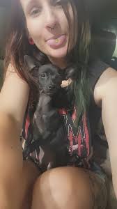 Lost puppy in Ogden near 30st and 29st