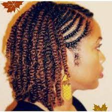 Afrodelicious Salon De Coiffure Nappy Salon De Coiffure Chveux Crepus Et Frise Protective Hairstyles For Natural Hair Natural Hair Twists Hair Twist Styles