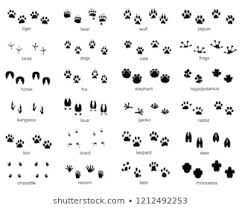 Animal Footprints Images Stock Photos Vectors Shutterstock