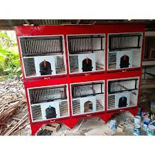 We did not find results for: Kandang Merpati Kandang Macan Kandang Burung Dara Kayu Jati Isi 6 Pintu Fiber Shopee Indonesia