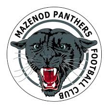Uhlman and the seattle panthers did not always agree. Who Are The Panthers