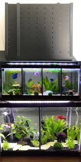 Discover our collection of gothic home decor at attitude clothing! Cool Fish Tank Decoration Ideas Lovely Aquariums And Tanks 20 Gallon Long Fish Tank Divider Fresh Water Fish Tank Small Fish Tanks Fish Tank Decorations