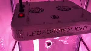 Grow lights & lighting secrets for hydroponics marijuana. How To Hang An Led Grow Light In A Grow Tent Tips Variables To Consider Youtube