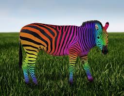 Very well written, would recommend highly. Rainbow Zebra By Kitty Bitty Redbubble