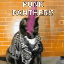 It's her birthday today and we're pleased to say that deirdre is still playing guitar and gigging around london right now. Punk Rock Birthday Gifs Tenor