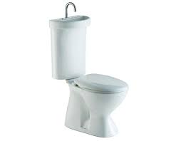dual flush toilet is a sink and