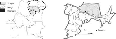 Image result for Landolphia bruneelii