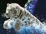 Mobile Animal Wallpaper Hd