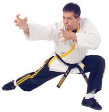 The 5 Kung Fu Animal Styles Of The Chinese Martial Arts Black Belt Chinese Martial Arts Martial Arts Black Belt Martial Arts