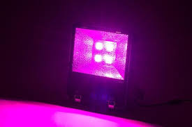 For optimum yield, a good rule of thumb is to choose an led grow light that outputs at least 50w per. Pin On Electronics Research News