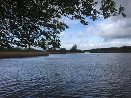 Grossenheidornstrand Sonntagsausflug Grossenheidorn Steinhudermeer Meinniedersachsen Meer Steinhude Sonntag Natur Os Instagram Instagram Posts Outdoor