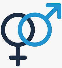 Women empowerment clipart is high quality 852*639 transparent png stocked by pikpng. Gender Inequalities Empowering Women And Providing Gender Equality Icons Transparent Png 1364x1176 Free Download On Nicepng