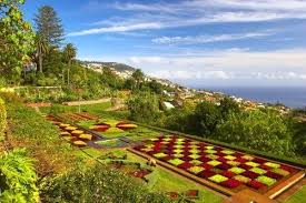 Botanic Garden Funchal Botanical Gardens Cool Places To Visit
