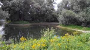 Lac de tunis 2.9 km. Sur Les Berges Du Rhin Pres Du Jardin Des Deux Rives Allemagne Alsace Des Petits