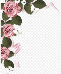 Vector border decoration design elements. Rose Stock Photography Pink Clip Art Png 800x1005px Rose Color Cut Flowers Flora Floral Design Download