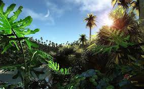 Rivieramaya131 Jungle Wallpaper World Wallpaper Nature Wallpaper
