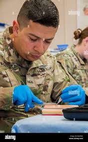 Military education curriculum hi-res stock photography and images
