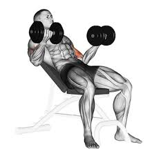 Maybe you would like to learn more about one of these? Incline Dumbbell Curls Change Your Angle Of Attack And Build Better Biceps