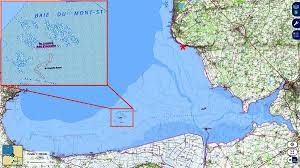 Les Recifs A Hermelles De La Baie Du Mont Saint Michel Et De L Ile De Re Exemples De Recifs Non Coralliens Visibles En France Metropolitaine Planet Terre