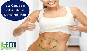 What causes metabolism to slow down? 10 Causes Of A Slow Metabolism Efm Health Clubs