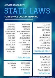 Getting a new permit/license or looking for arkansas driver's license renewal? 15 Training Service Dog Ideas Psychiatric Service Dog Service Dogs Service Dog Training