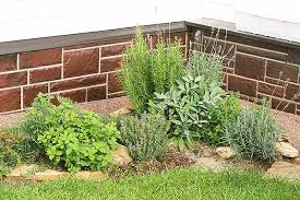 There are many beautiful plants of various colors, sizes and types to fill your yard with. Xeriscaping Your Yard For Efficiency And Aesthetics Gardener S Path