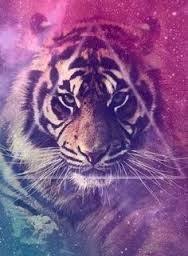 Image Colrer Avec Comme Portrer Un Tigre Image Swag Photo Swag Fond Ecran Swag