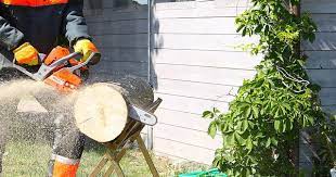 To start the chainsaw engine, you will have to pull on its cord to cause the rotation of the engine shaft , which in turn will move the piston thus allowing fuel to enter the cylinder. This Is Why Your Chainsaw Floods And Won T Cut