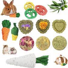 Lacrima Juguetes masticables de conejo, 12 unidades, juguetes de conejo  para conejos, conejillos de indias de