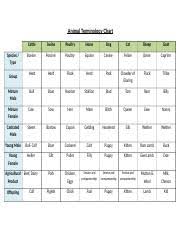 Copy Of Animal Terminology Chart Docx Animal Terminology Chart Cattle Swine Poultry Horse Dog Cat Sheep Goat Bovine Porcine Poultry Equine Canine Course Hero