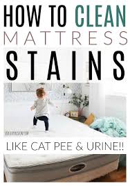 Clean Pee Stains From Your Mattresses With These Cleaning Tips Works For Pet Urine Or Human Pee Tips Clean Mattress Stains Mattress Cleaning Mattress Stains