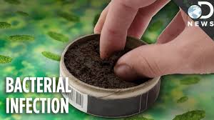 Is Chewing Tobacco Better For You Than Smoking Youtube