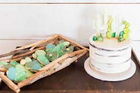 Sam dreams of (be) a popstar. Kara S Party Ideas Southwestern Cactus Baby Shower Kara S Party Ideas