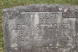 Lee Strother (1883-1950)