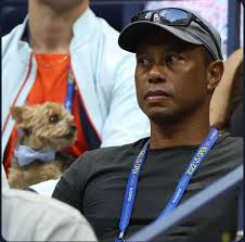 Ending the LIV and PGA tour war