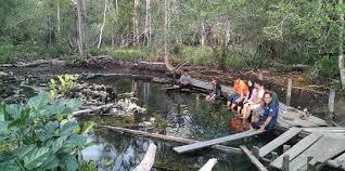 Sungai kendondong tempat terdapat kolam air panas yang hanya buat berendam kaki dan ada juga kolam yang buat mandi ataupun berenang. Sensasi Berendam Air Panas Dikelilingi Hutan Mangrove Di Berau Merdeka Com
