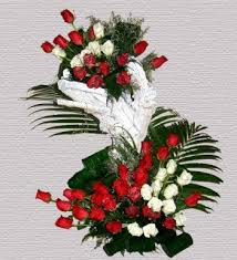 We did not find results for: Buy Flowers In Chennai Http Www Freshflowerindia Com City Buy Flowers In Chennai Best Online Flowers Send Flowers Online Flowers Online
