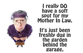 We did not find results for: Quotes About Mother In Law 108 Quotes