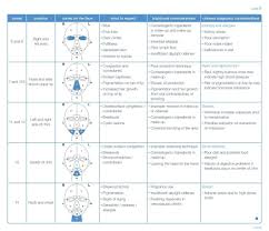 Face Mapping For Acne The Ultimate Guide Face Mapping