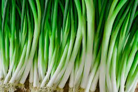 You can create an endless supply of green onion tops without ever having the plant sends up stalks with flower heads on them. Scallions Plant Care Growing Guide