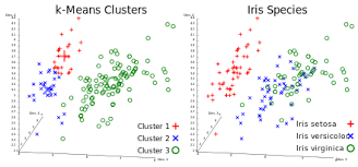 Iris Flower Data Set Wikiwand