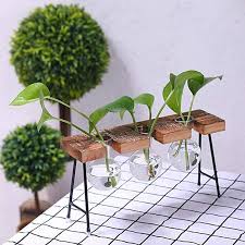 Amazonsmile Takefuns Hydroponic Vase Vintage Desktop Plant Terrarium Planter Bulb Vase Water Planting Propagation Stations Libra Pla Planters Bulb Vase Plants