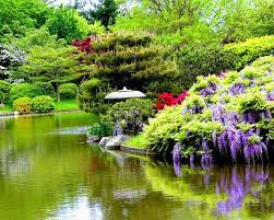 Pin By Patricia Luque On Gardens Japanese Garden Beautiful Gardens Beautiful Japanese Gardens