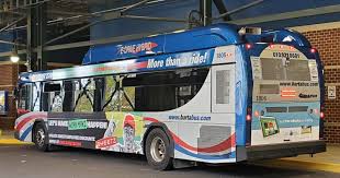 Image result for Bussea