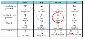 my bazi world how your child operate part 2