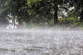 Lluvia food ingredients is a subsidiary of lluvia sugar that imports and distributes a wide variety of specialised raw material food ingredients to the food and manufacturing industries in south africa and abroad. Se Puede Beber El Agua De La Lluvia Es Perjudicial Para La Salud Ecodiario Es